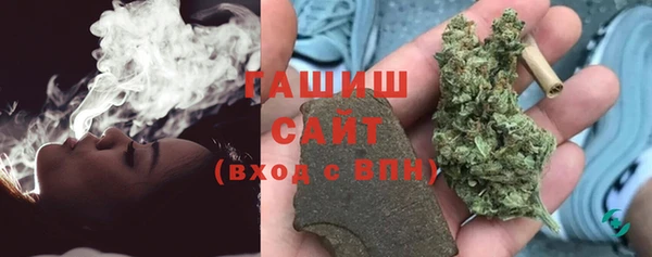 прущие грибы Богородицк