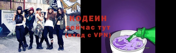 гидра Богородск