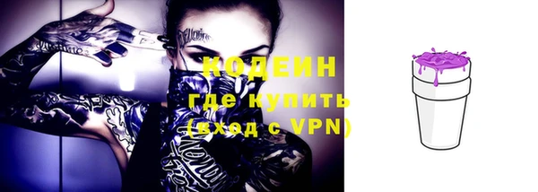 стаф Богданович