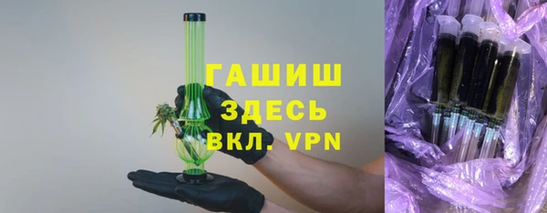 гидра Богородск
