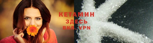 гидра Богородск