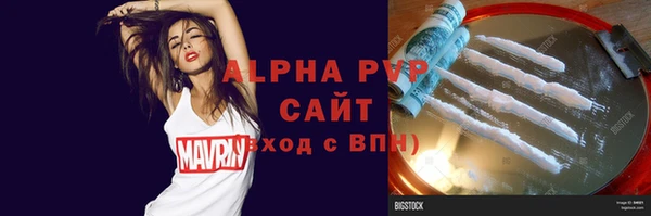 прущие грибы Богородицк