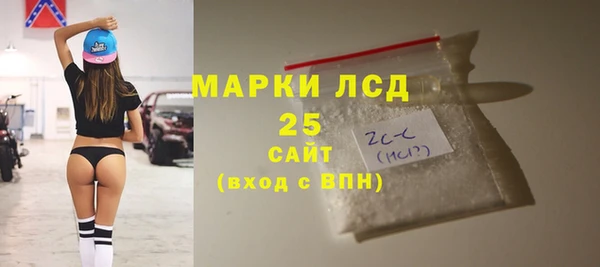 прущие грибы Богородицк