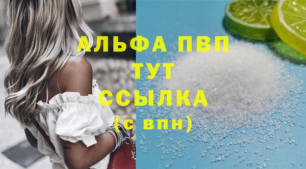 прущие грибы Богородицк