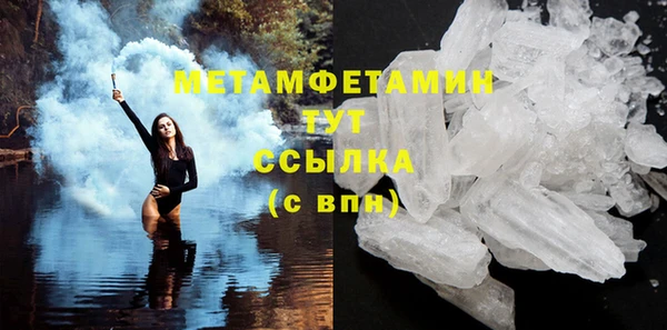 стаф Богданович