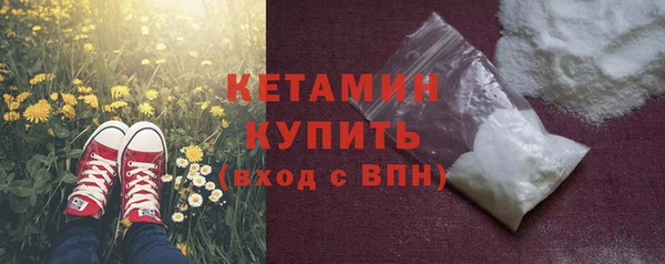 стаф Богданович
