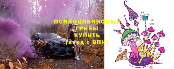 прущие грибы Богородицк