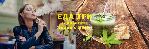 гидра Богородск