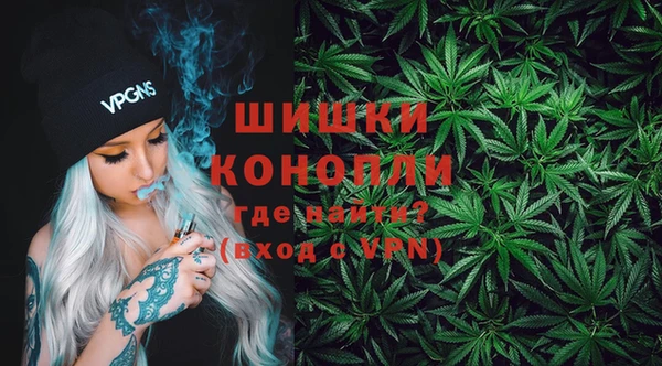стаф Богданович