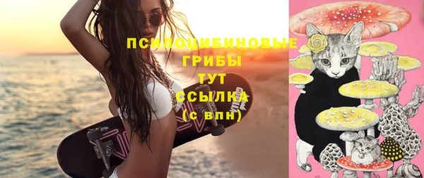 стаф Богданович