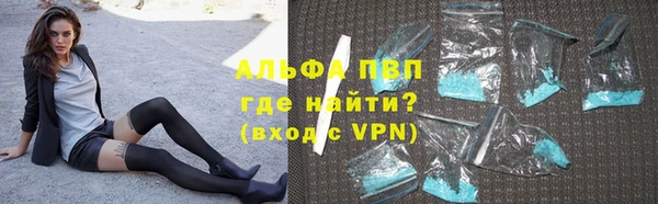 гидра Богородск
