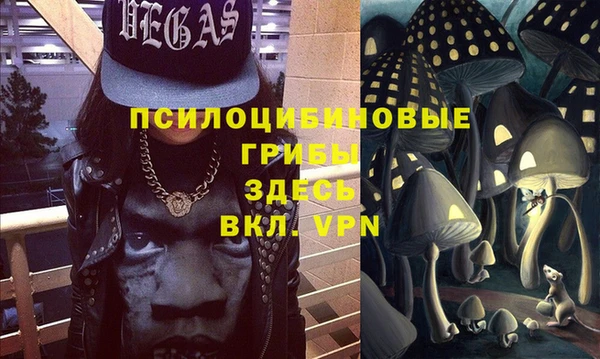 прущие грибы Богородицк