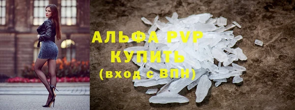 стаф Богданович