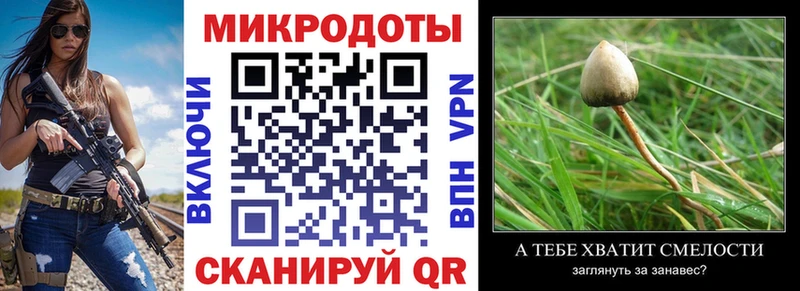 Псилоцибиновые грибы мицелий  Купить где  Сенгилей 